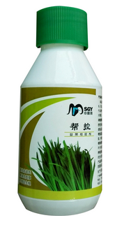 帮控